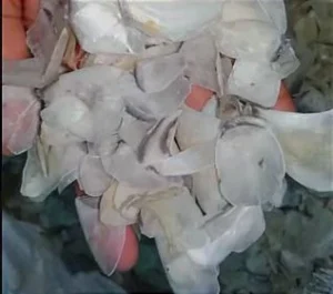 Dry Fish Scale Exporter | RSElite.Group