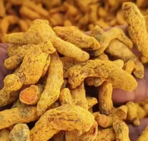 Turmeric Exporter | RSElite.Group