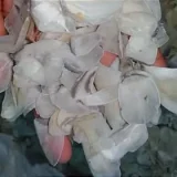Dry-Fish-Scale_rselitegroup Dry Fish Scale Exporter | RSElite.Group