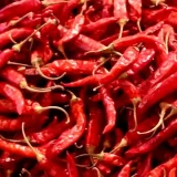 Dried_Red_Chilli_rselitegroup Dried Red Chilli Exporter | RSElite.Group
